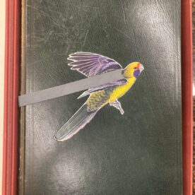 Australian Parrots Joseph Forshaw boxed set