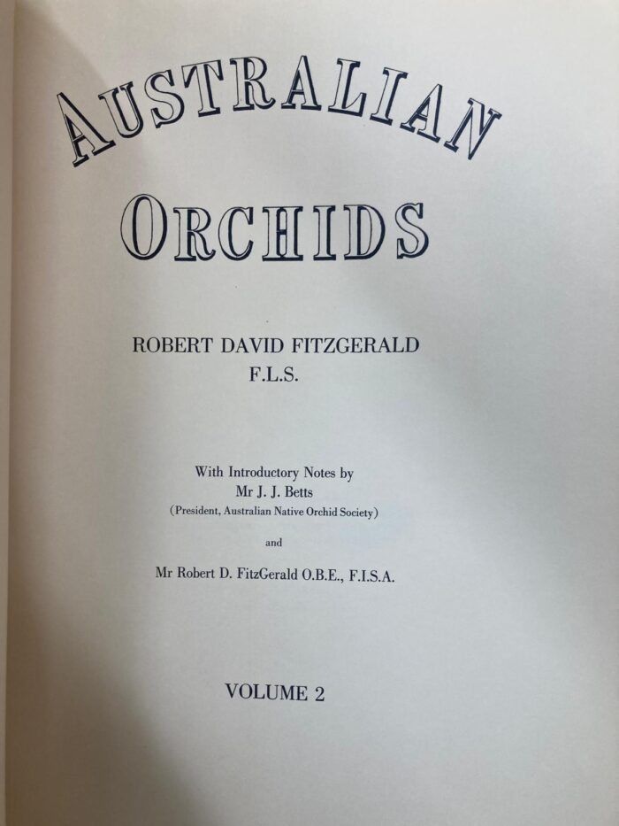 Robert Fitzgerald's Australian  Orchids - Image 4