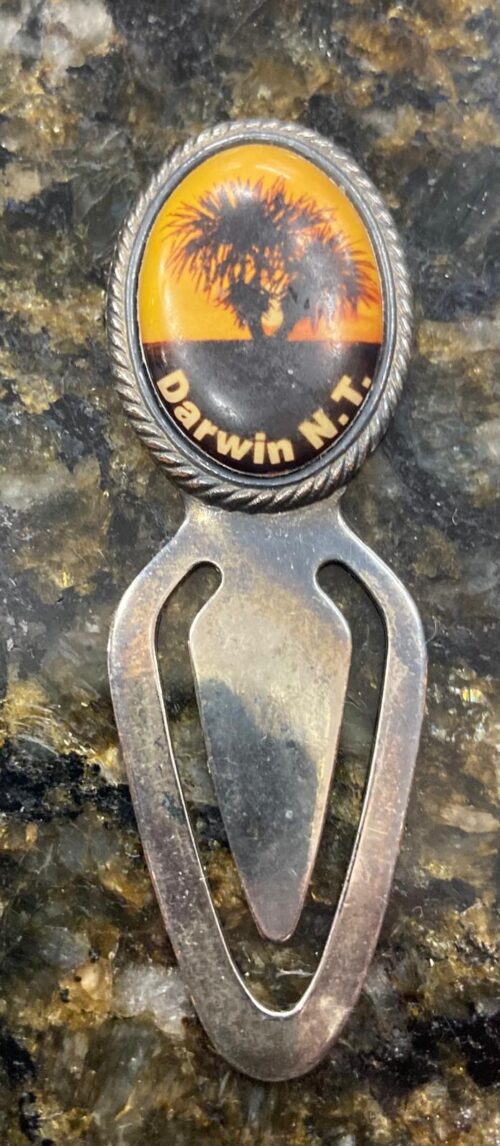 Sonic Darwin NT book marker