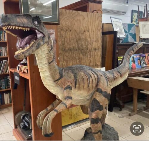 Have your photo taken with Remy the Raptor