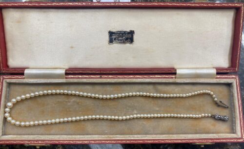 Small graduated Mikimoto pearl necklace